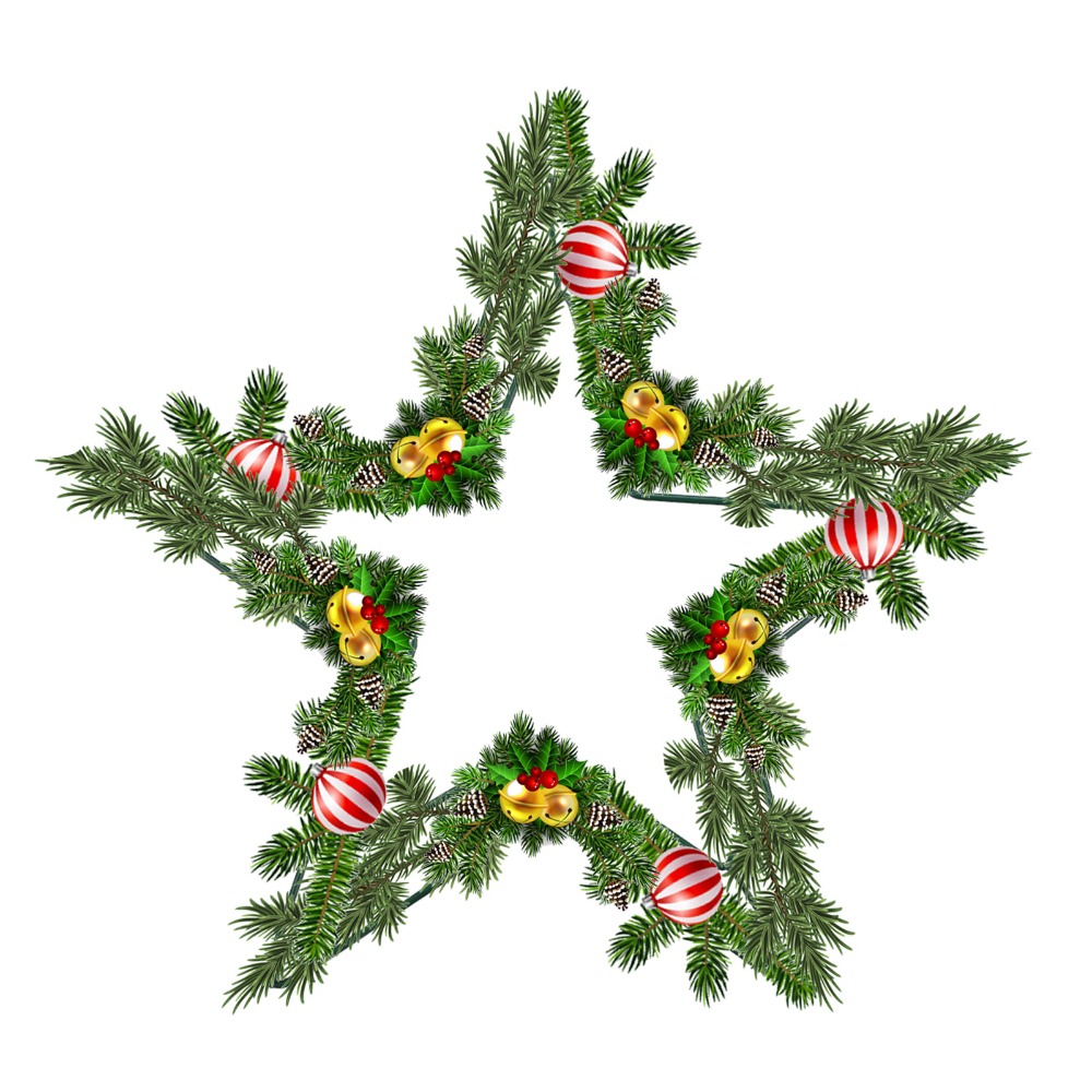 Floral Crafts Metal Wire Star  - Wreath Form Wire 评论和价格